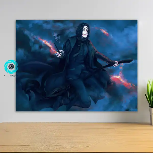 شاسی هری پاتر طرح چهارده